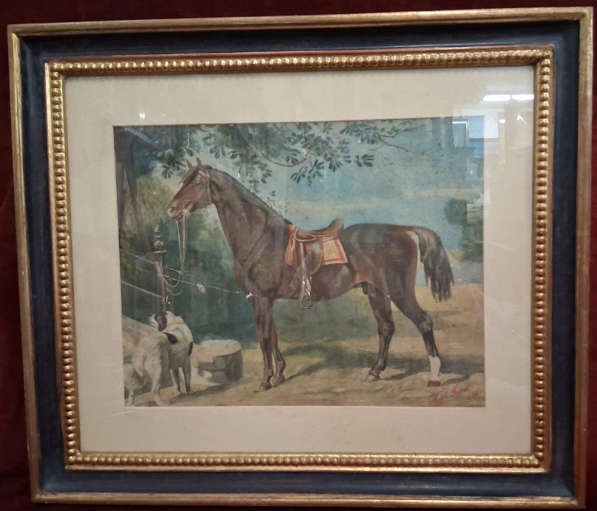 Watercolor On Paper: Horse With Dog - Adele Ferretti, 1894