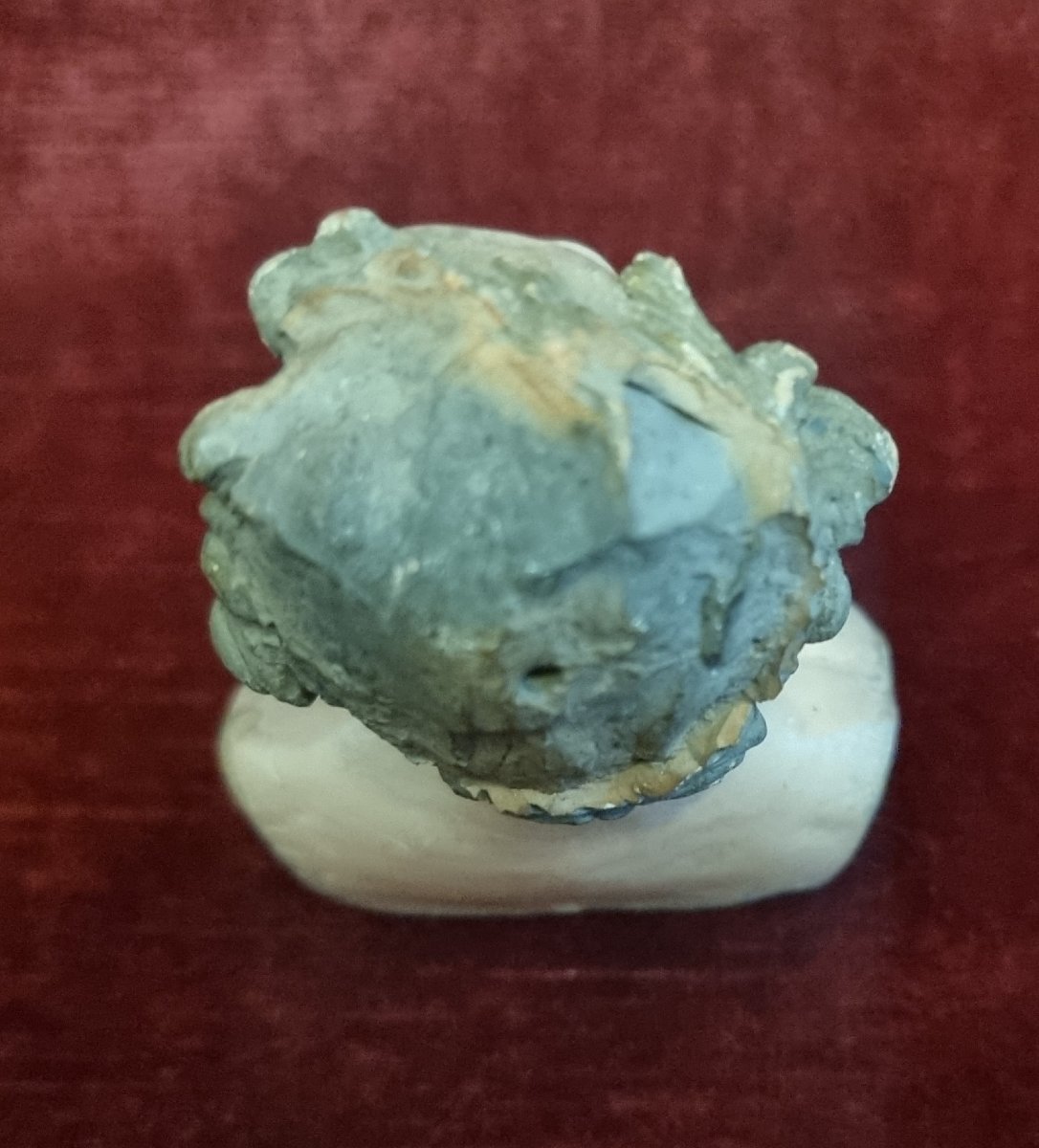 Terracotta Head With Glass Eyes - Neapolitan Nativity Scene - Early 19th Century-photo-1