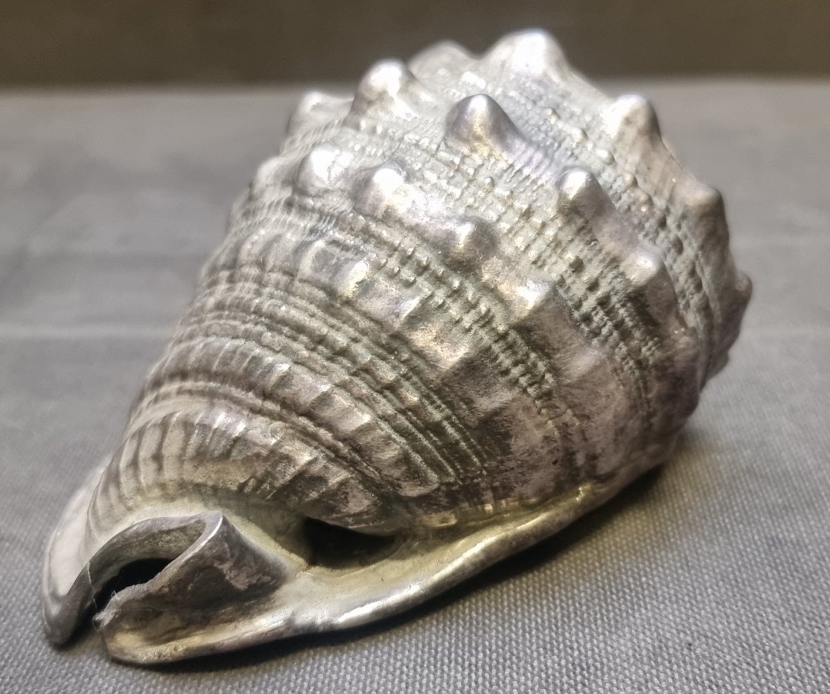 Coquillage recouvert d'argent - Federico Buccellati - Années 1960-photo-2