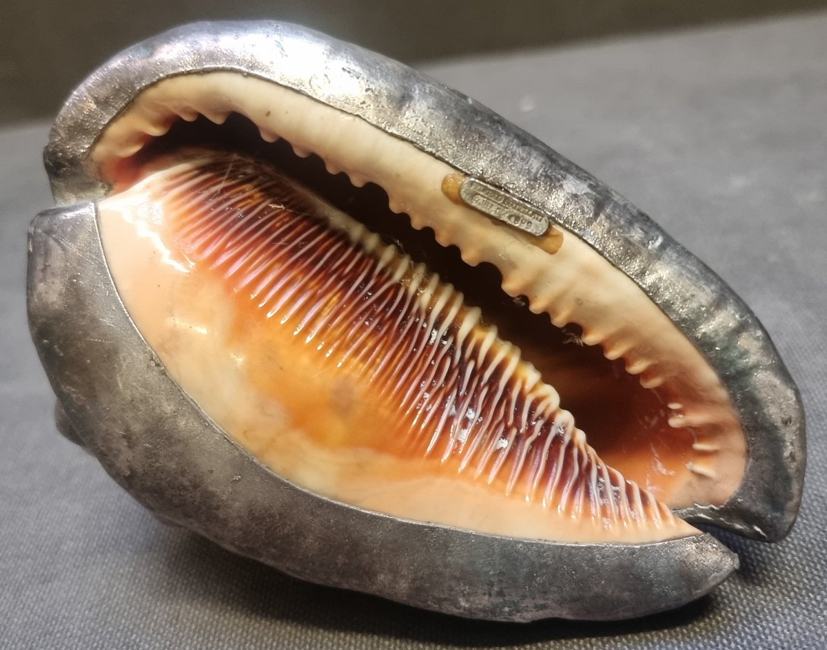 Coquillage recouvert d'argent - Federico Buccellati - Années 1960-photo-2