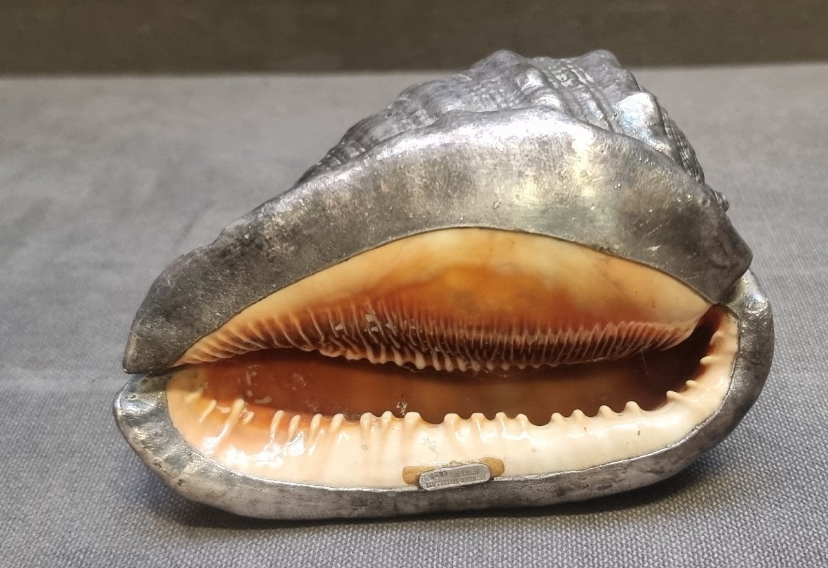 Coquillage recouvert d'argent - Federico Buccellati - Années 1960