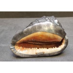 Silver-plated Shell - Federico Buccellati - 1960s