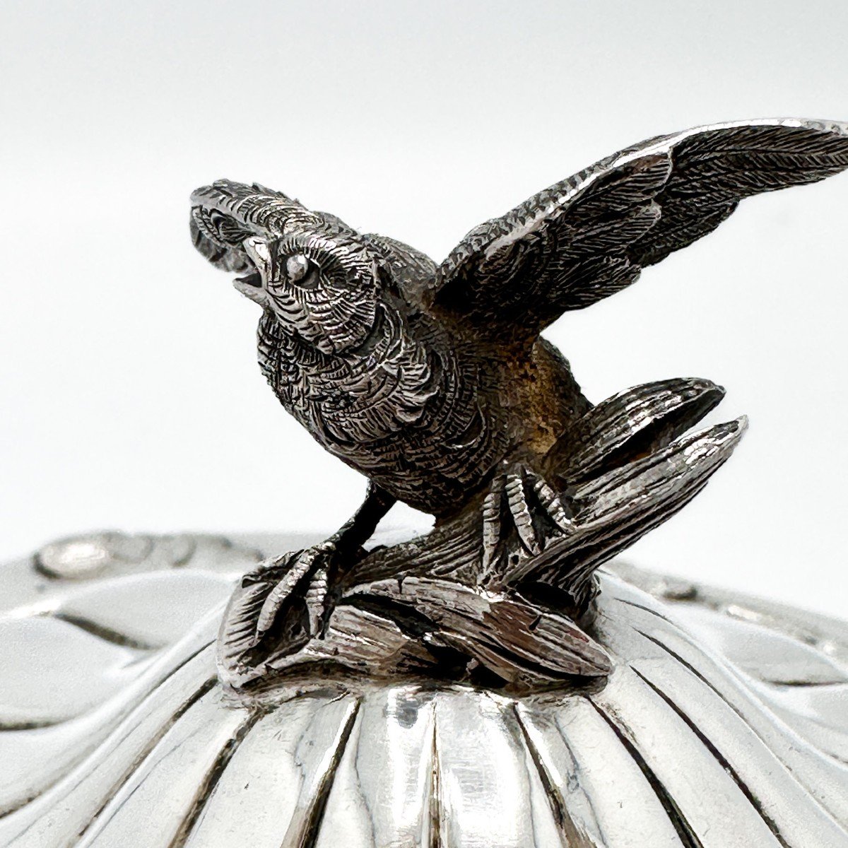 Silver Bezel-photo-4