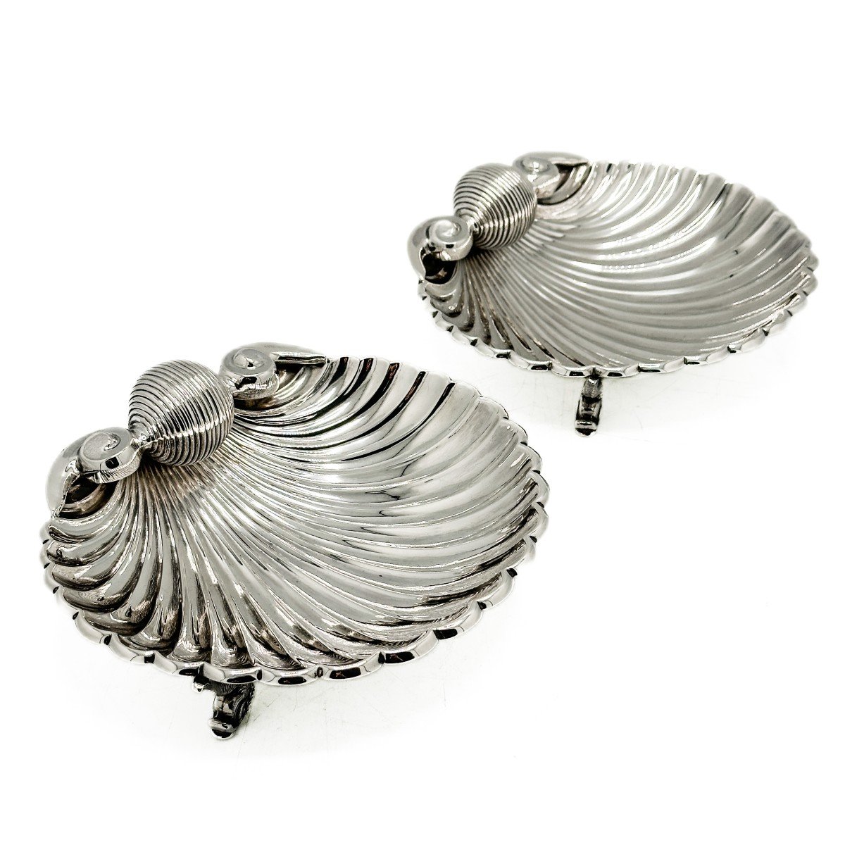 Pair Of Large Silver Shells 1 Title. 916/1000-photo-3