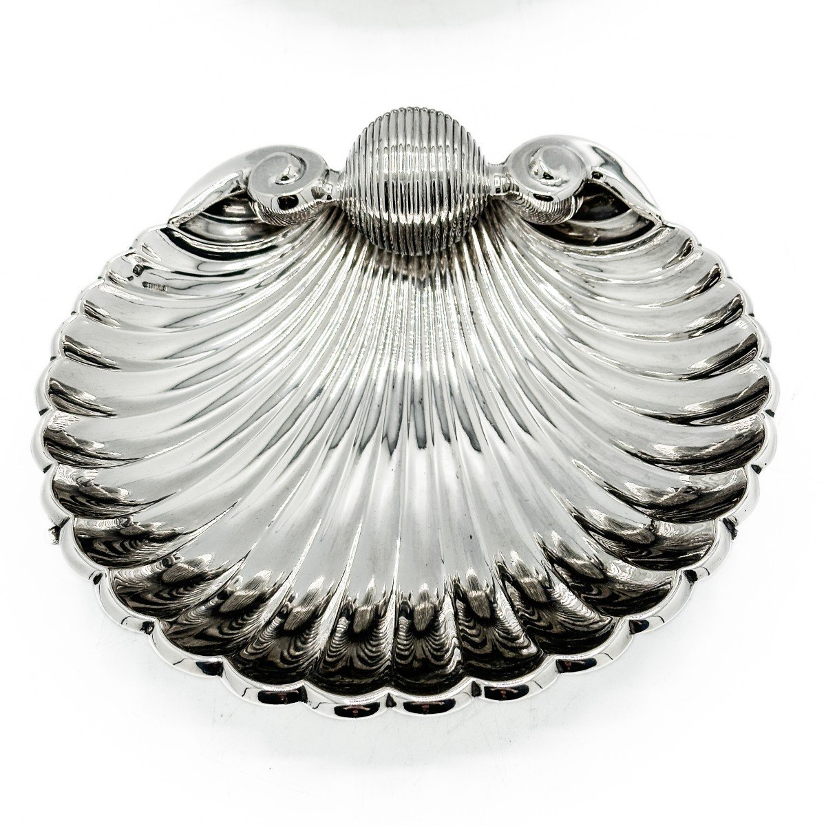 Pair Of Large Silver Shells 1 Title. 916/1000-photo-3