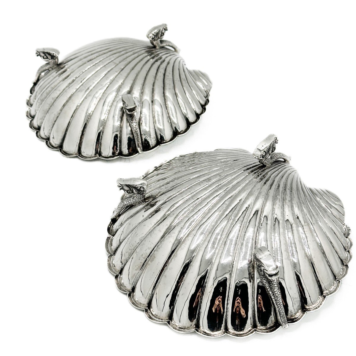 Pair Of Large Silver Shells 1 Title. 916/1000-photo-6