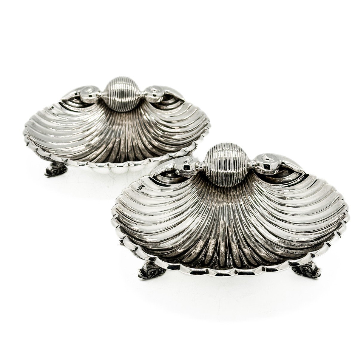 Pair Of Large Silver Shells 1 Title. 916/1000-photo-8