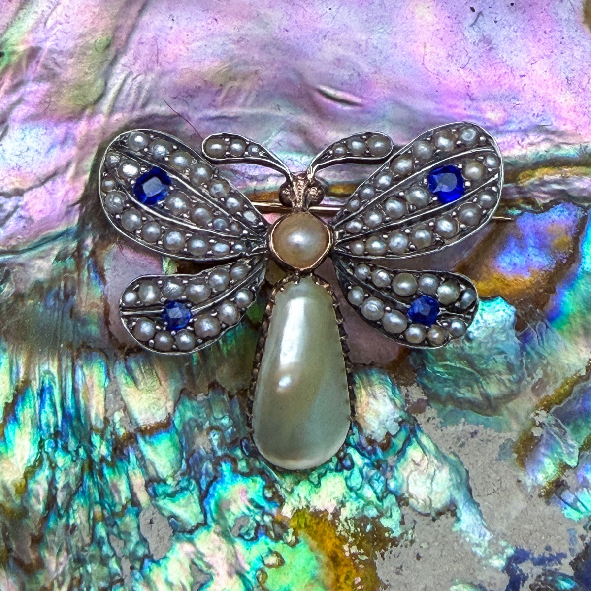 Broche papillon Belle Époque en or et argent, perles et saphirs  -photo-1