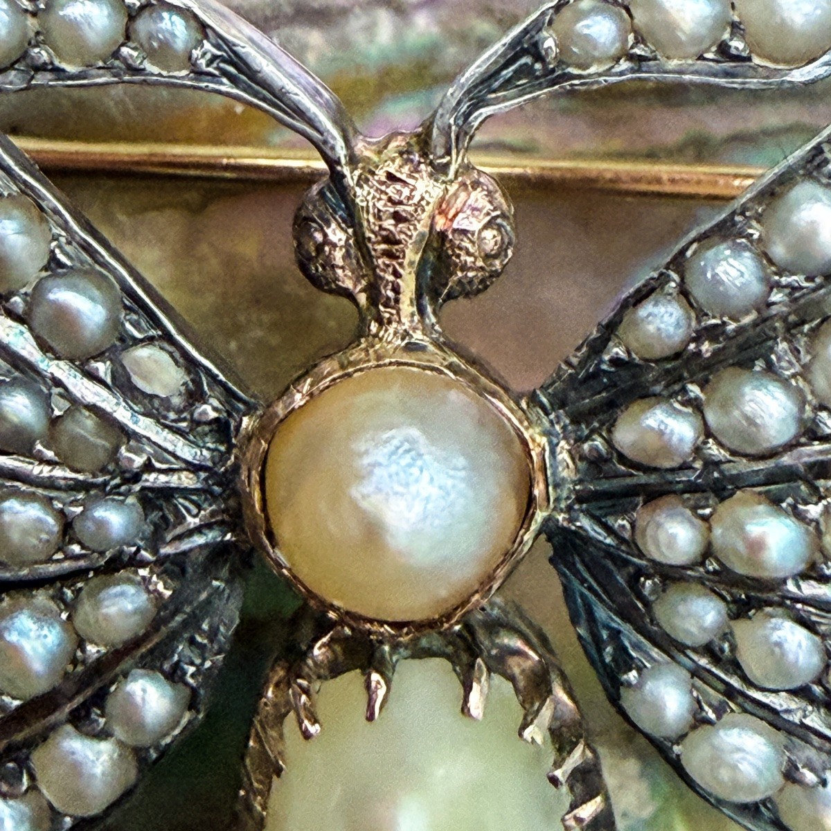 Broche papillon Belle Époque en or et argent, perles et saphirs  -photo-4