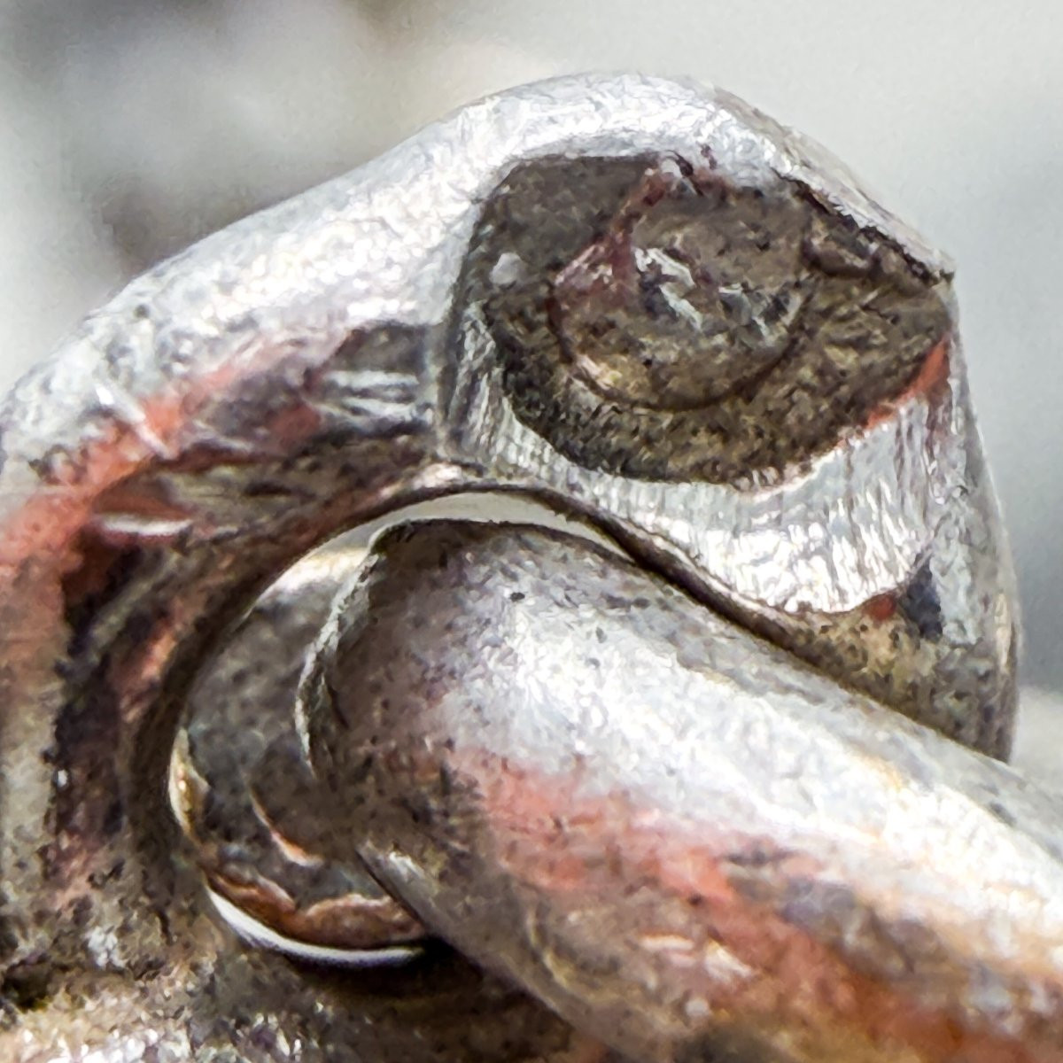 Silver Shooting King's Collar – "la Cible d'Or" Company, Schaerbeek – Circa 1900-photo-2