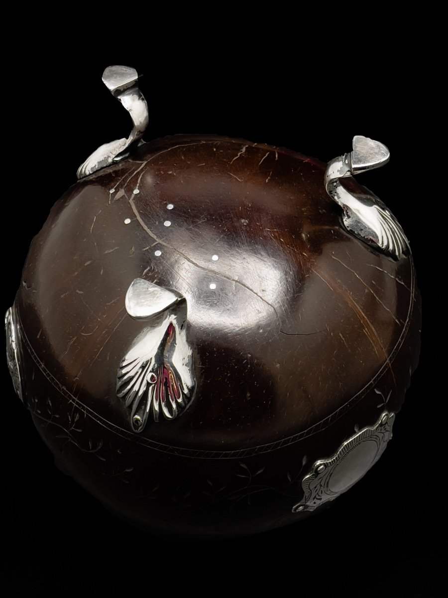 Coconut Rise Silver-photo-3