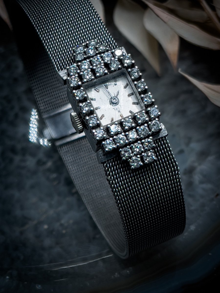Ebel Watch In 18 K White Gold Set With 36 Brilliant Cut Diamonds-photo-2