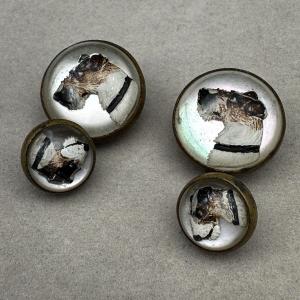 Cufflinks “essex-crystal”