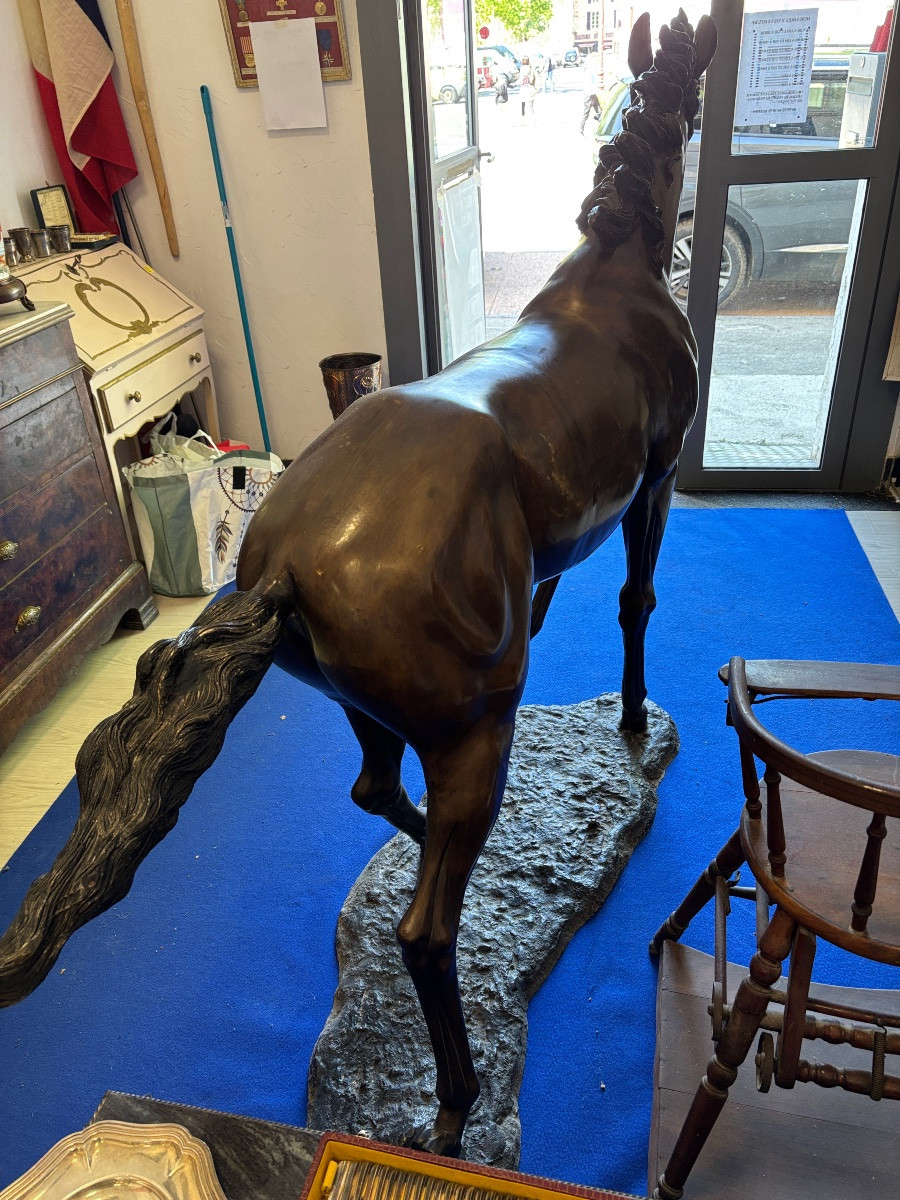 Bronze Horse Statue - P-j Mene-photo-4