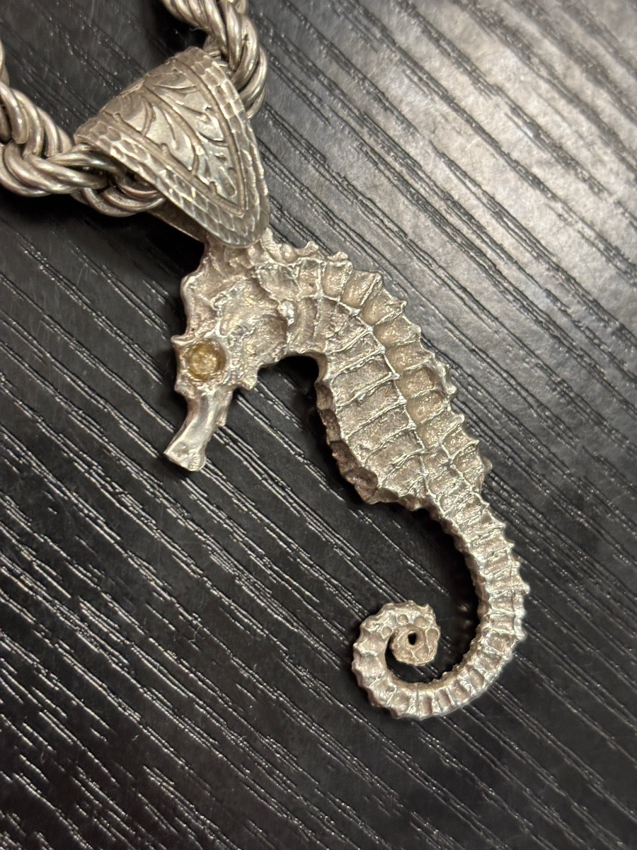 Collier en argent massif maille torsadée + pendentif hippocampe -photo-3