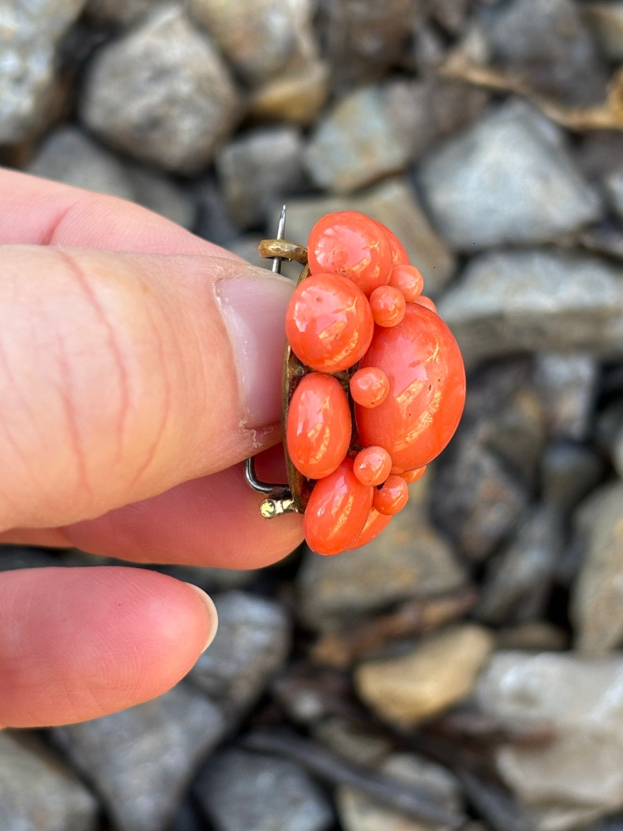 Coral Brooch -photo-1