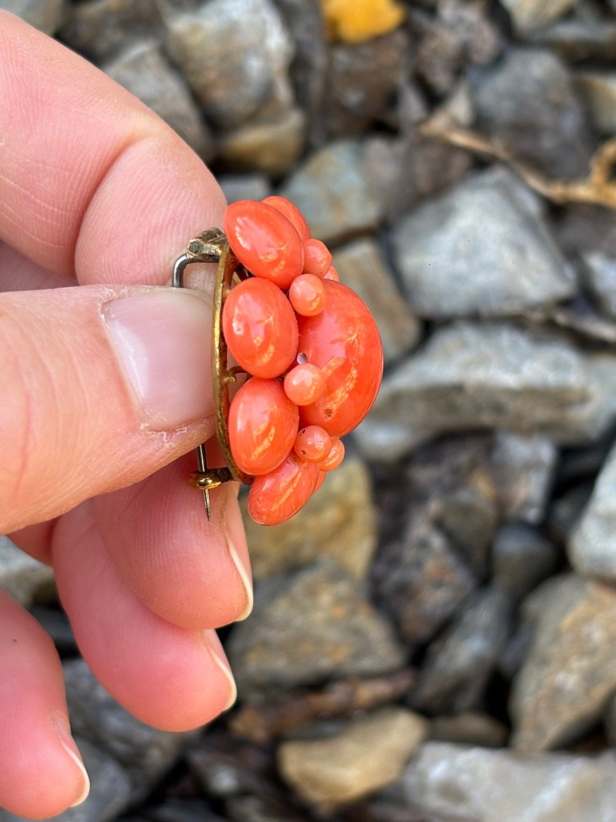 Coral Brooch -photo-4