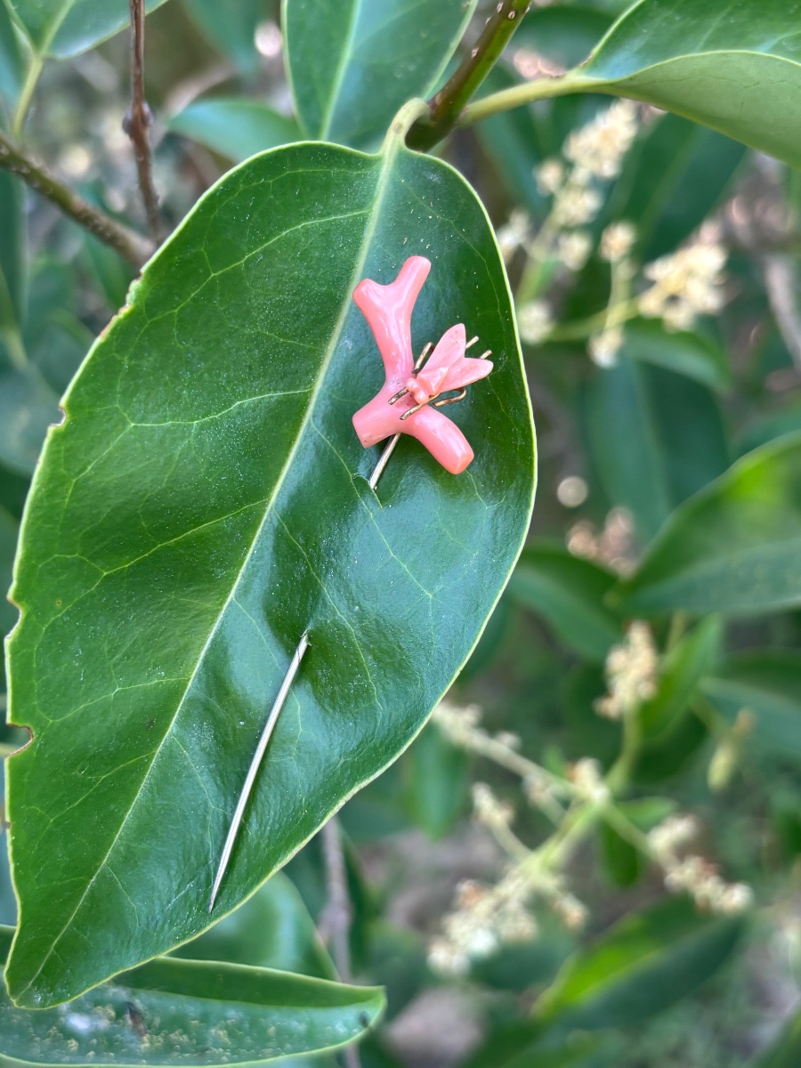 Épingle mouche en Corail 