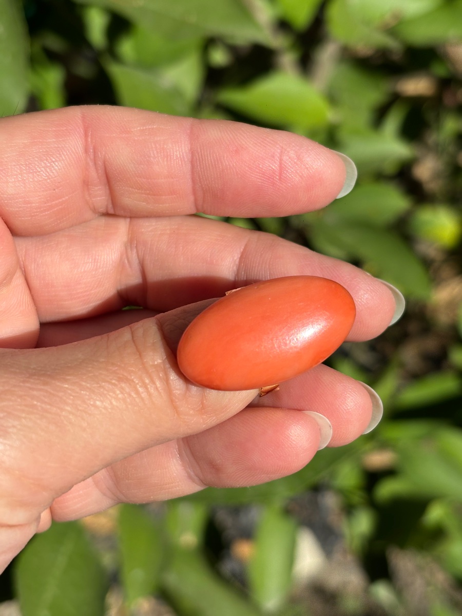 Bague or 18 ct et cabochon corail