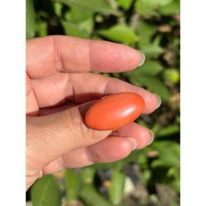 Bague or 18 ct et cabochon corail