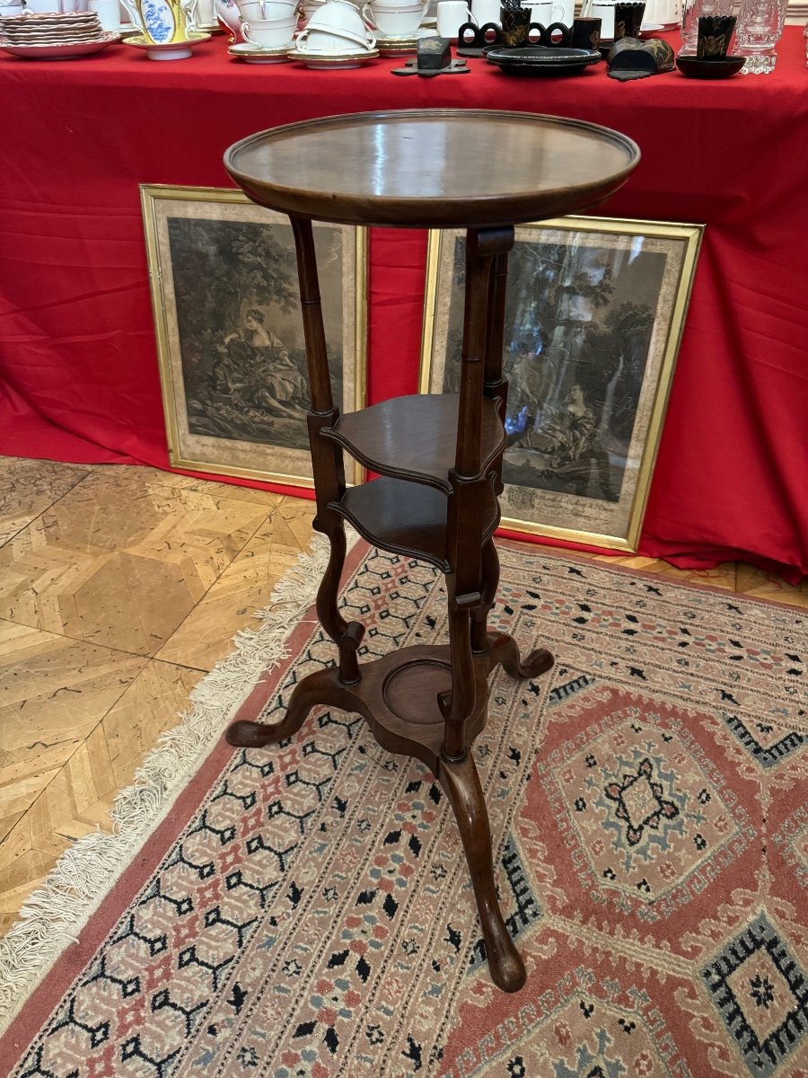 19th Century Mahogany Tripod Selette