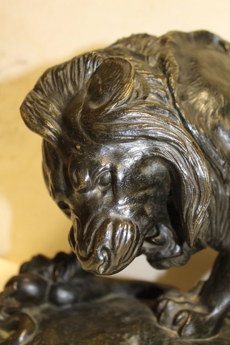  "lion Au Serpent" (tuileries) Bronze With Patine Brune De Barye