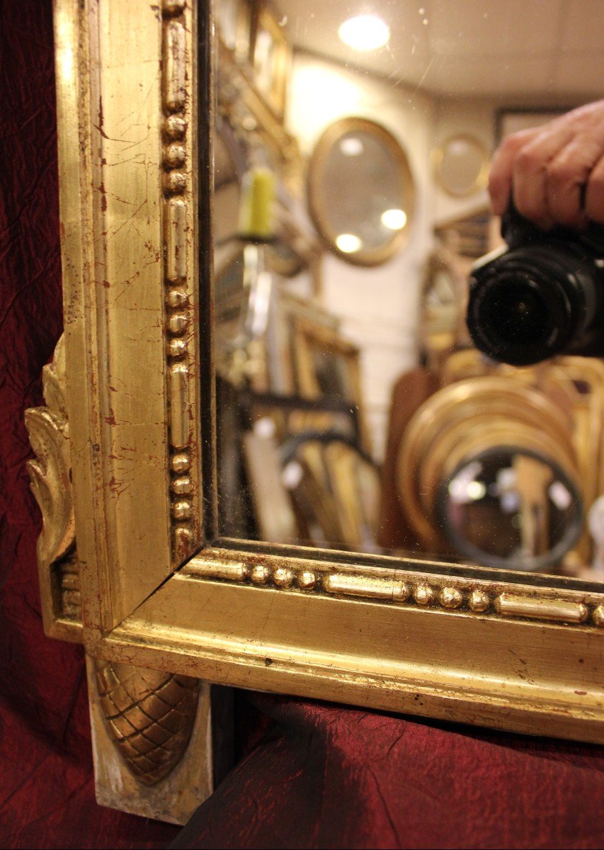 55 X95 Cm Louis XVI Style Wedding Mirror, Bird Couple Decor-photo-4