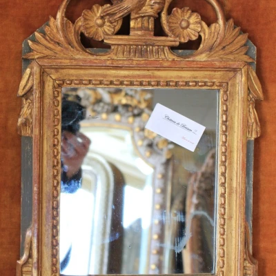 Premiere-Image-1724279