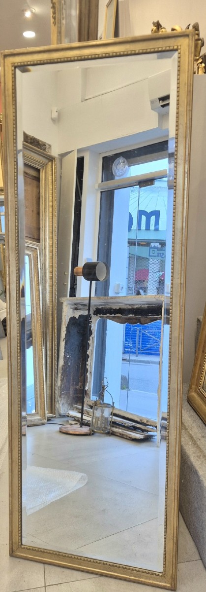 Louis XVI Gilded Mirror 55*165cm