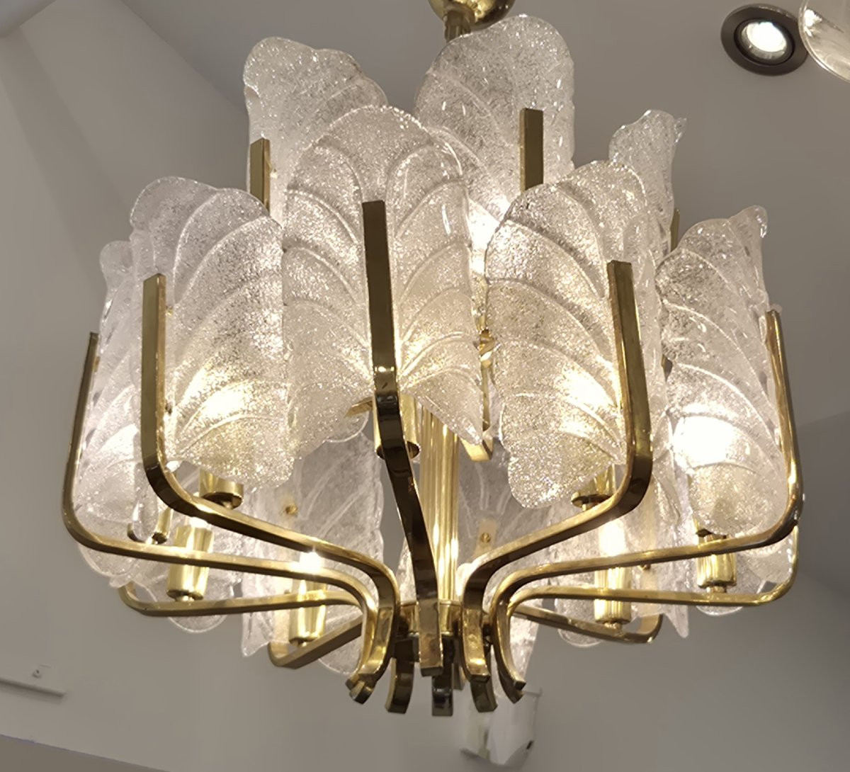 14-light Chandelier Vintage Palmettes Frosted Glass 55*60cm-photo-1