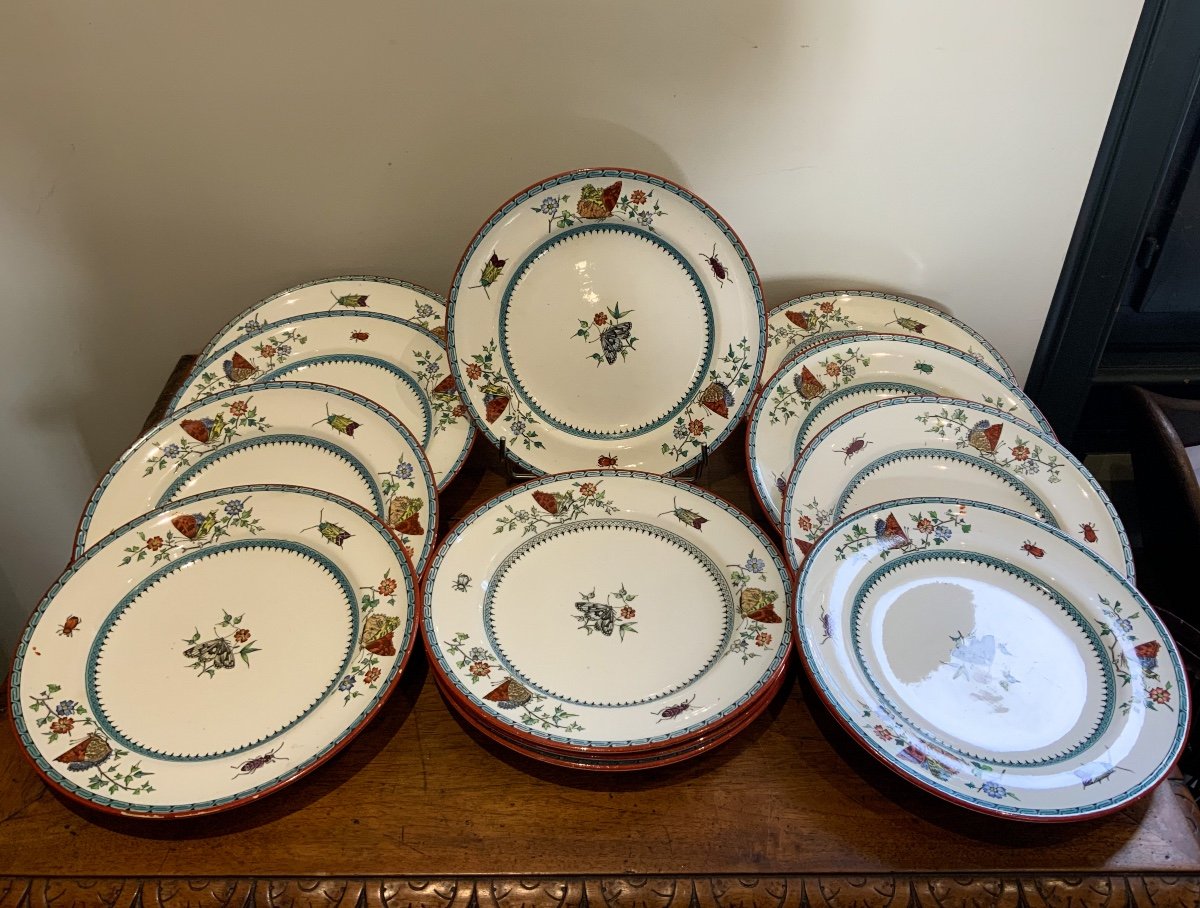 Mintons 12 Assiettes Faïence Ancienne Butterfly-photo-3