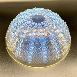 R.lalique Sea Urchin Cup