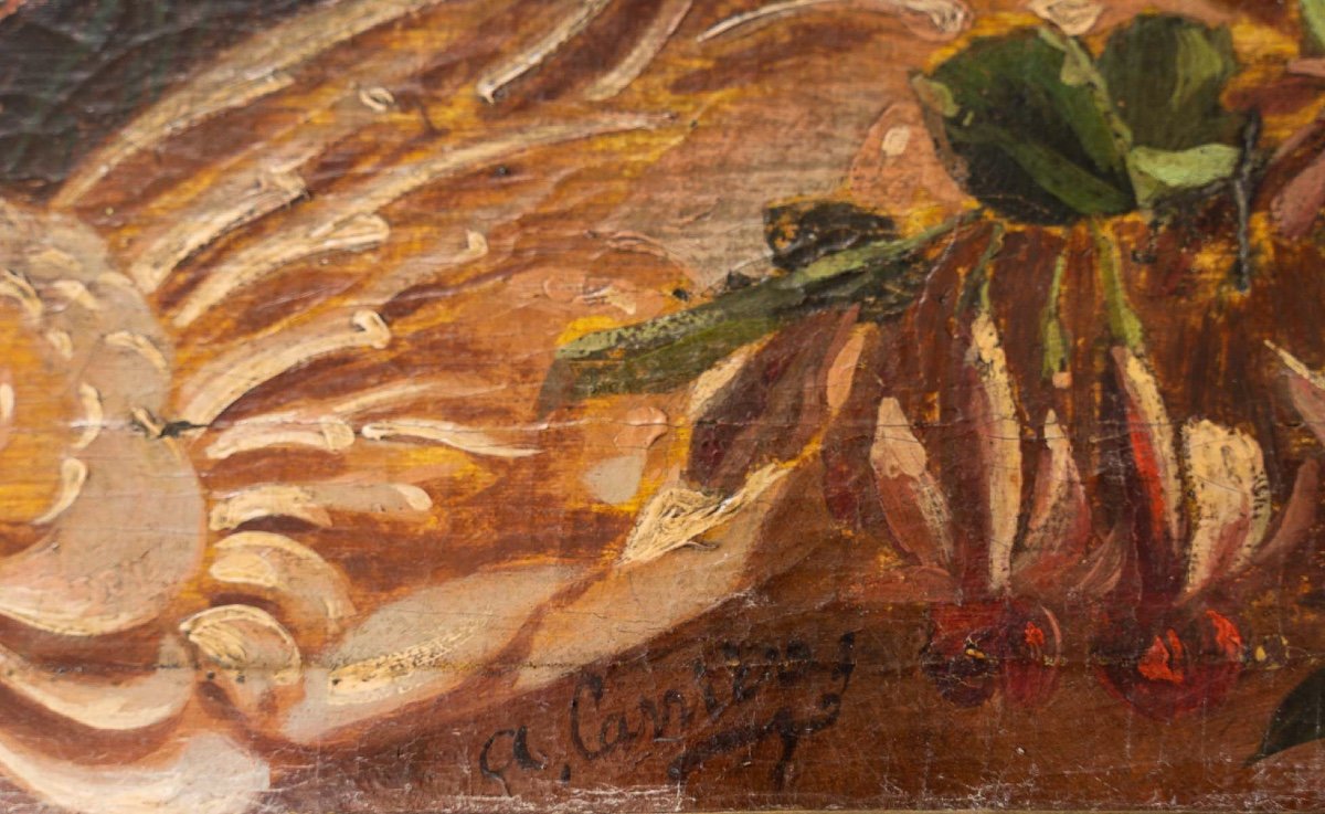 Alphonse Carrière (1808-1881) - Paneled Decoration Of Six Bird Still Lifes Circa 1850-1860-photo-4