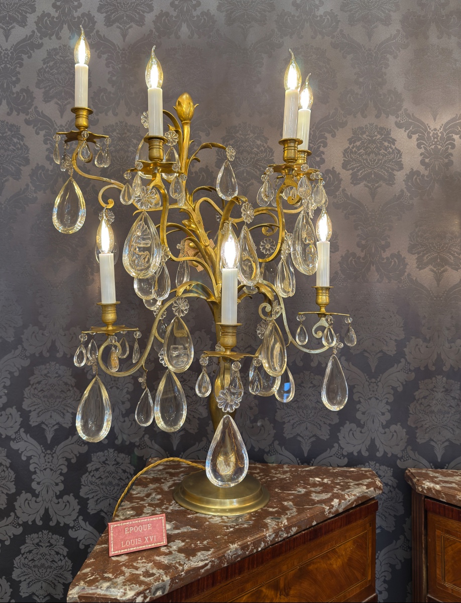 A Fine Pair Of Large Gilt-bronze And Baccarat Crystal Girandoles, Potocki Mansion, C. 1890-photo-2