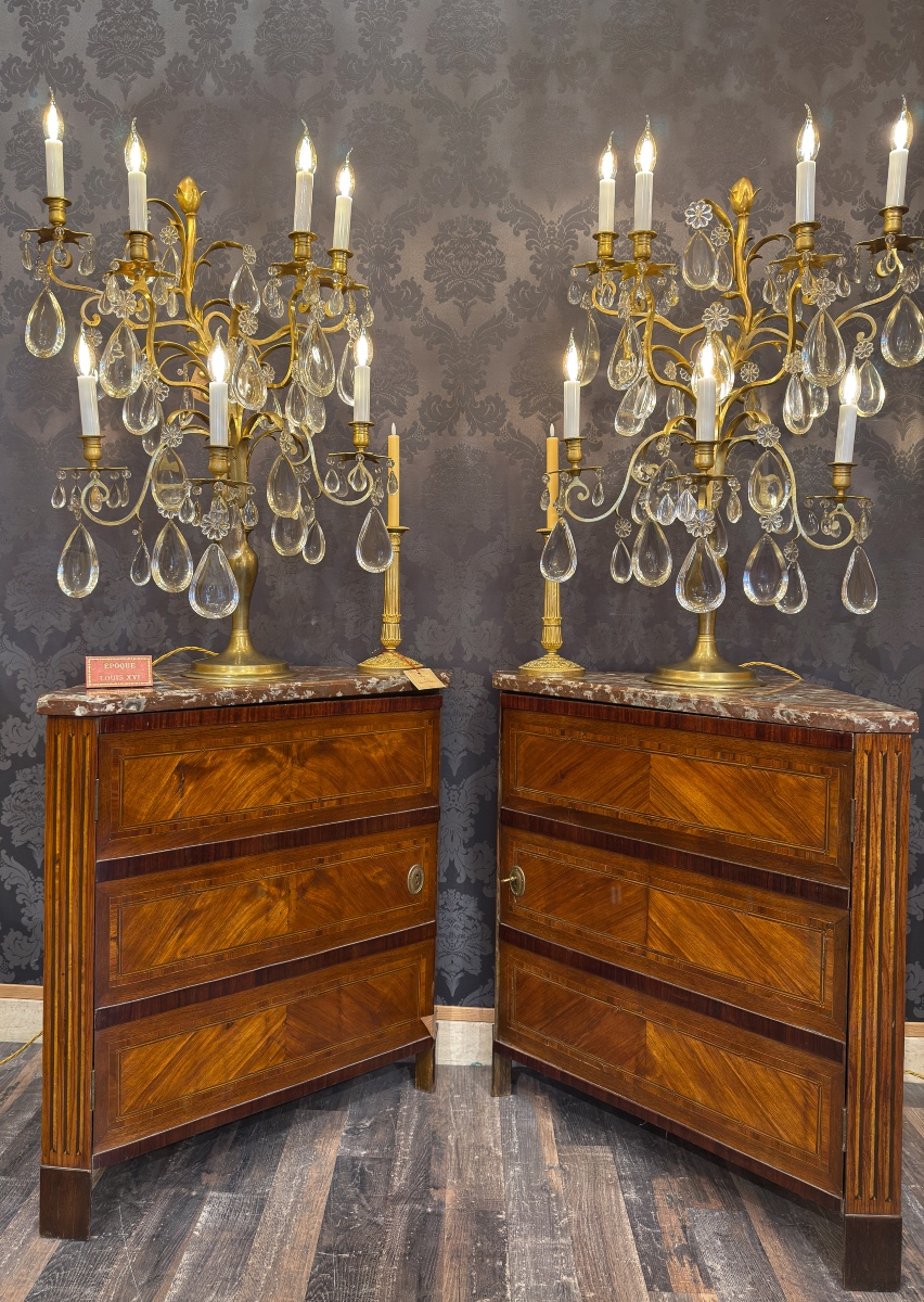 A Fine Pair Of Large Gilt-bronze And Baccarat Crystal Girandoles, Potocki Mansion, C. 1890