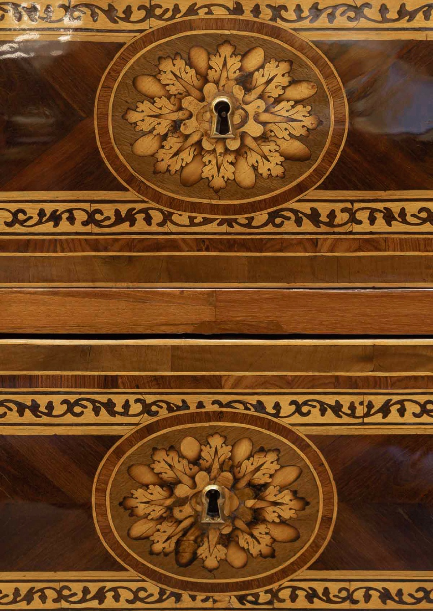 Rare Pair Of Italian Commodes Bearing The Effigy Of Louis XVIII, Verona, C. 1795-photo-4