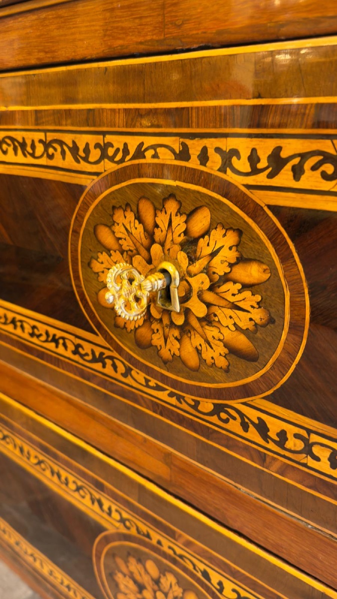 Rare Pair Of Italian Commodes Bearing The Effigy Of Louis XVIII, Verona, C. 1795-photo-6