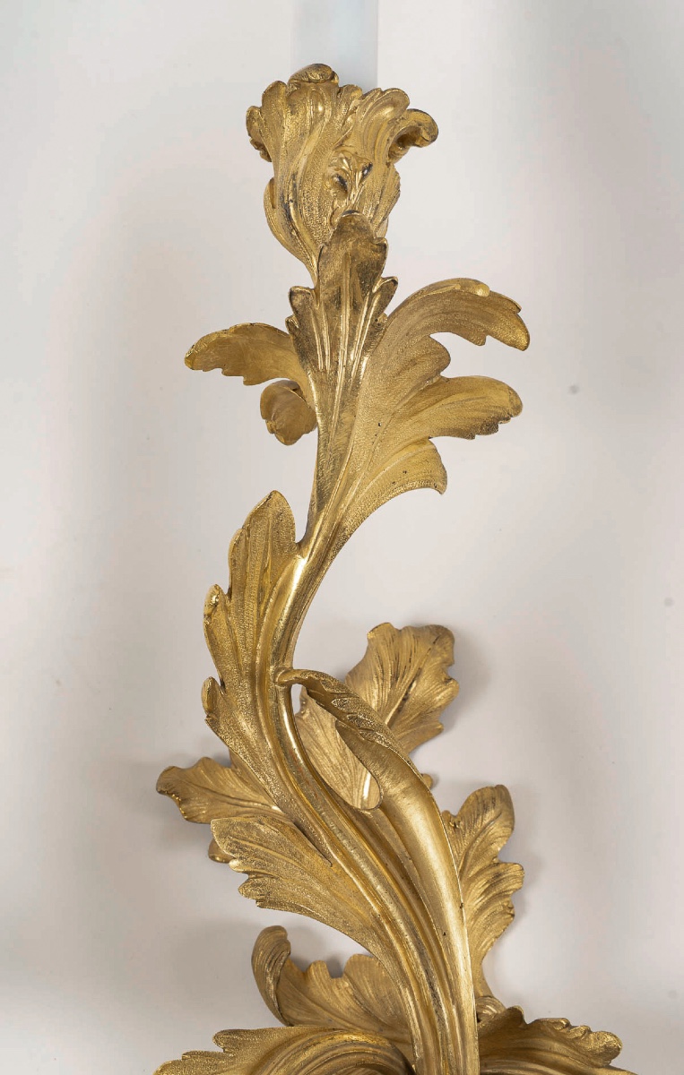 After Juste-aurele Meissonnier A Fine And Large Pair Of Gilt-bronze Wall Sconces, C. 1850-photo-2