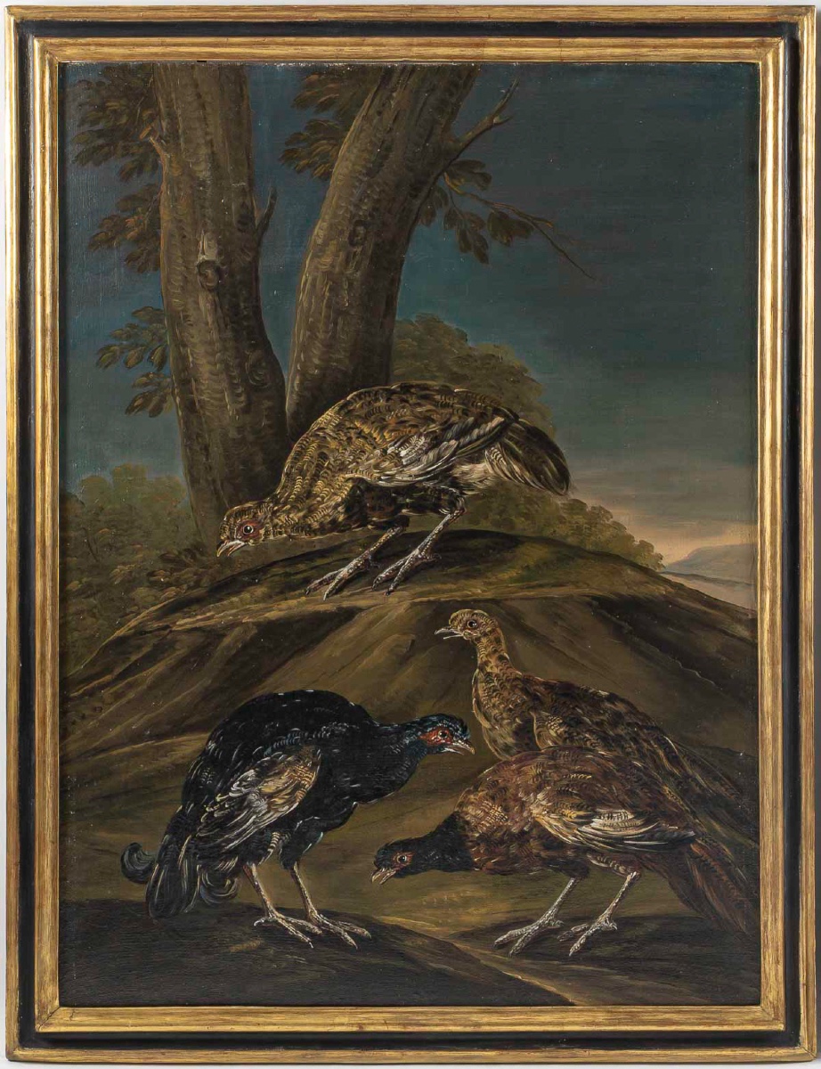 Still Life With Birds Late 18th Century Italy, Follower Of Giovanni Crivelli-photo-2