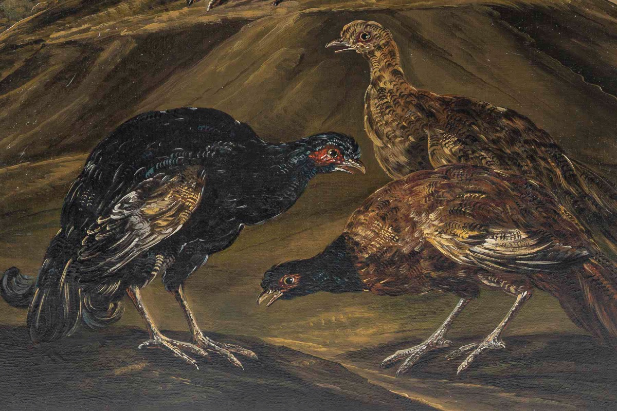 Still Life With Birds Late 18th Century Italy, Follower Of Giovanni Crivelli-photo-3