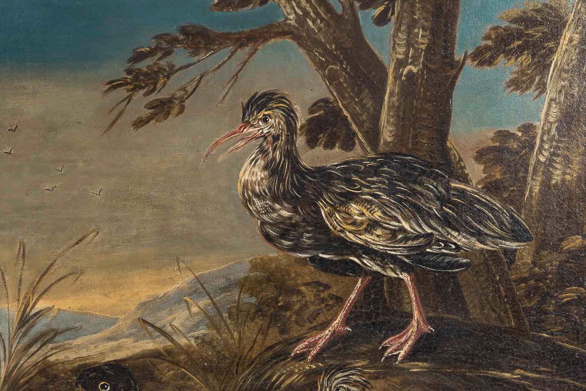 Still Life With Birds Late 18th Century Italy, Follower Of Giovanni Crivelli-photo-4