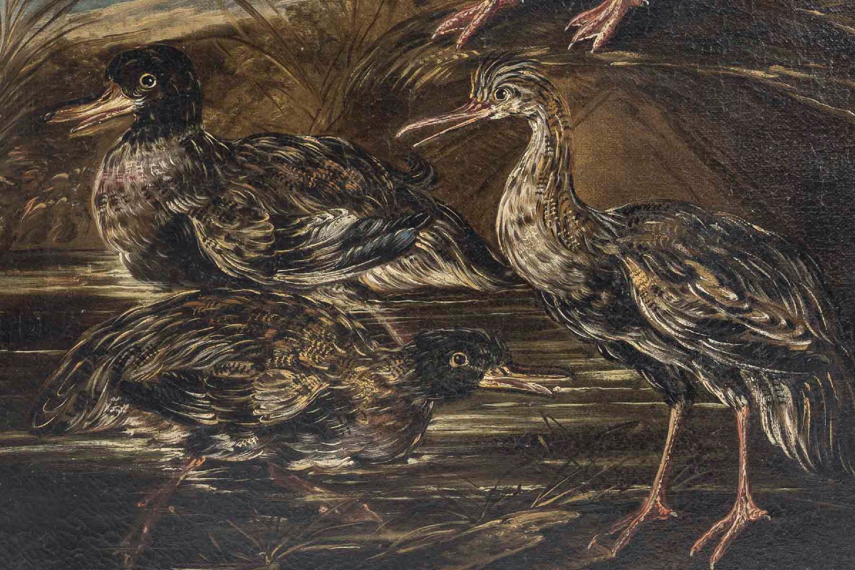 Still Life With Birds Late 18th Century Italy, Follower Of Giovanni Crivelli-photo-5