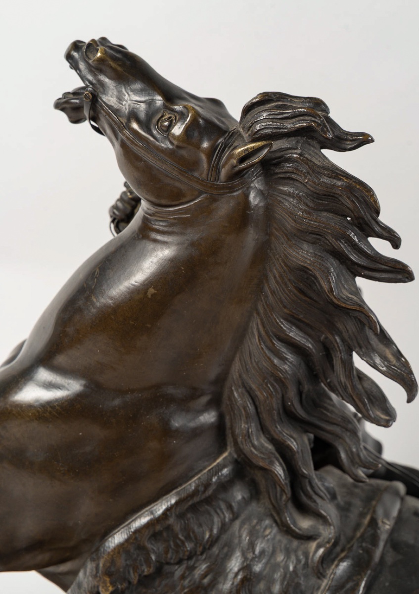 Les Chevaux de Marly, paire de sculptures du XIXème siècle en bronze d’après Guillaume Coustou-photo-5
