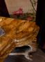 1607169-alb-68b2ae910e344.jpg
