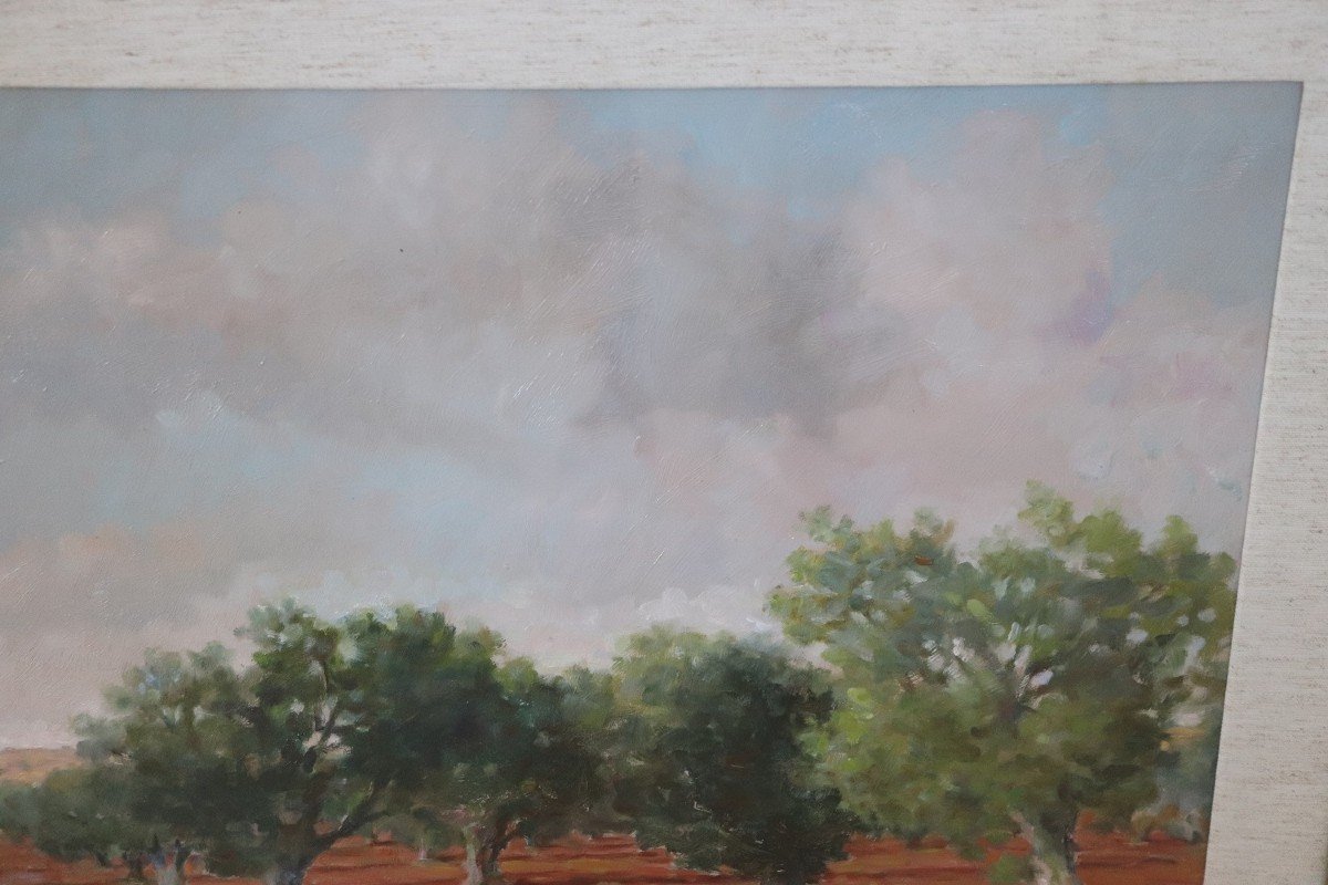 Paysage Avec Oliviers, Italie, Huile Sur Toile-photo-1