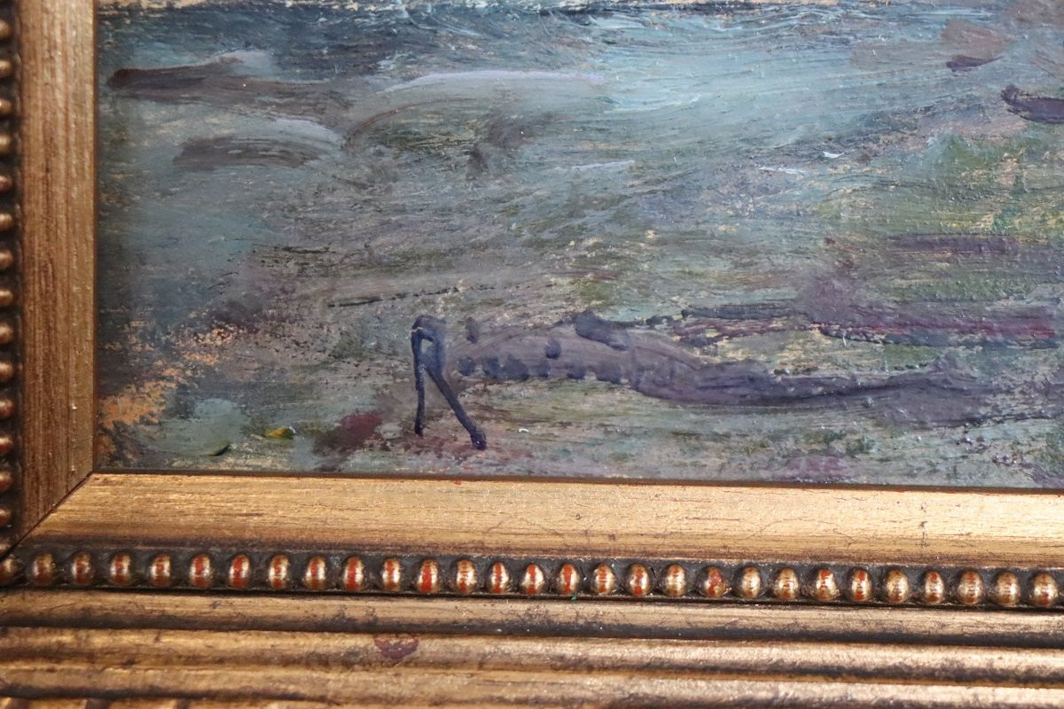 Landscape Of Ischia, Oil Painting On Board, Italy Early 20th Century-photo-3