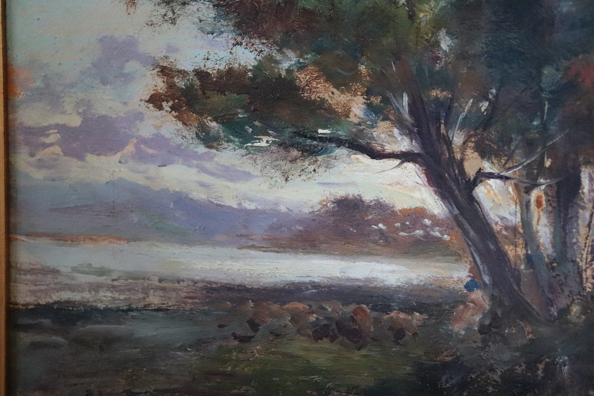 Landscape Of Ischia, Oil Painting On Board, Italy Early 20th Century-photo-3