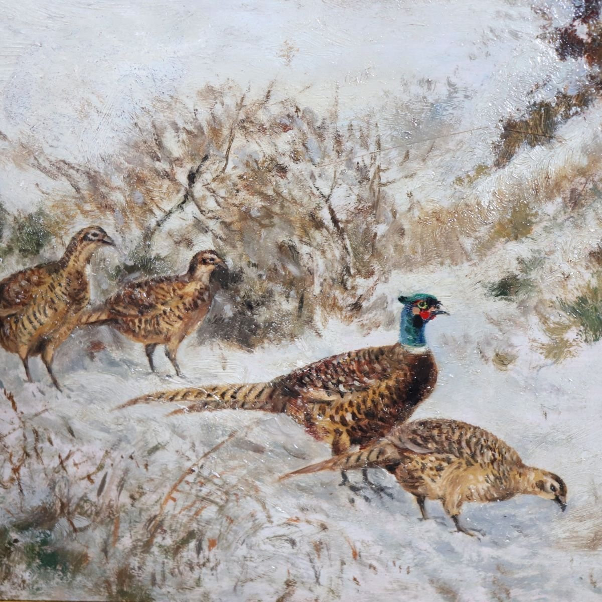 Faisans dans la neige, peinture à l'huile sur panneau, signée Wilhelm Buddenberg-photo-4
