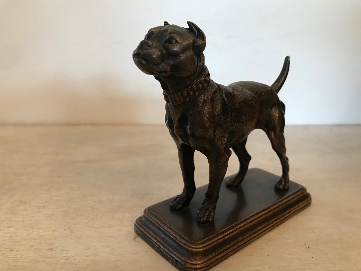 Petite Statue Bronze Animalier Ancien : Le Boxer Signé De Dubucand époque XIX ème