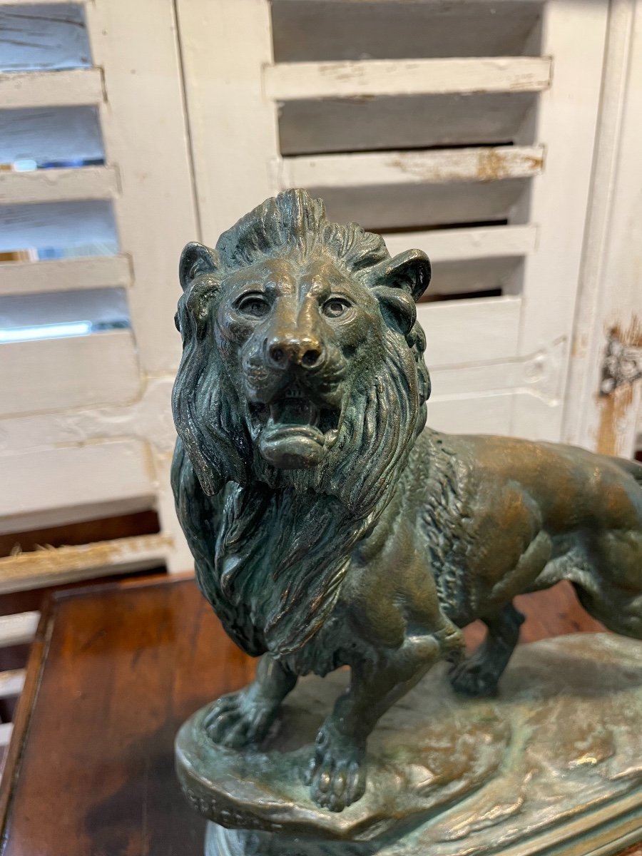 Old Bronze Sculpture Statue By Delabrierre: The Lion, End Of The XIX Eme Green Patina-photo-4